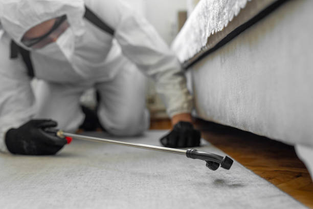Professional Bed Bug Control technician working in Crockett, CA