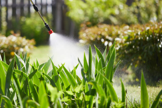 24/7 Emergency Bed Bug Control experts in Crockett, CA