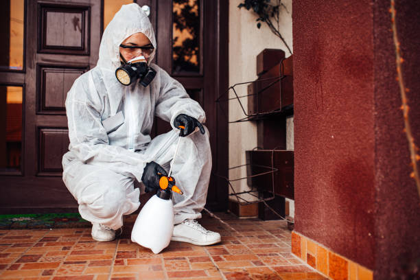 Reliable Bed Bug Control contractor in Crockett, CA by Nex Pest Control