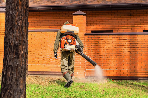 Trusted Mosquito Control service in Crockett, CA - Nex Pest Control